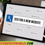 Dịch vụ seo giá tốt ưu đãi uy tín nhất hiện nay