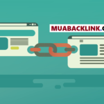 Cung cấp Backlink PBN chất lượng tốt