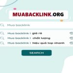 Mua backlink tín hiệu xã hội đáng lựa chọn