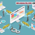 Cung cấp backlink đa dạng