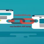 Mua backlink PBN xây dựng bằng tay