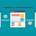 Mua backlink PBN chuyên nghiệp