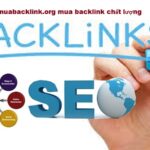 Backlink profile đóng một vai trò quan trọng